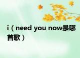 i（need you now是哪首歌）