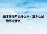 草字头加弓念什么字（草字头加一给弓念什么）