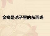 金鳞是池子里的东西吗