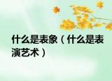 什么是表象（什么是表演艺术）