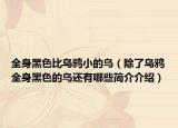 全身黑色比乌鸦小的鸟（除了乌鸦全身黑色的鸟还有哪些简介介绍）