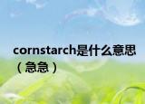 cornstarch是什么意思（急急）