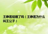 王睁茗结婚了吗（王睁茗为什么叫王公子）