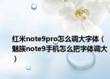 红米note9pro怎么调大字体（魅族note9手机怎么把字体调大）