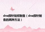 dna探针如何制备（dna探针制备的两种方法）