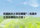 光遇的水之灵在哪里?（光遇水之灵在哪简介介绍）