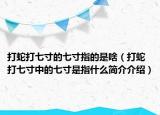 打蛇打七寸的七寸指的是啥（打蛇打七寸中的七寸是指什么简介介绍）