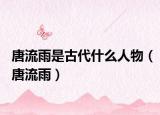 唐流雨是古代什么人物（唐流雨）