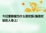 今日更新猫为什么喜欢踩(猫喜欢站在人身上)