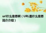 url什么意思啊（URL是什么意思简介介绍）