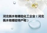 河北衡水有哪些化工企业（河北衡水有哪些特产呢）