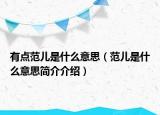 有点范儿是什么意思（范儿是什么意思简介介绍）