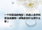一个叫亚当的电影（机器人名字叫亚当美国有一部电影叫什么甲什么拳）