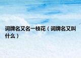 词牌名又名一枝花（词牌名又叫什么）