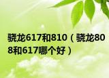 骁龙617和810（骁龙808和617哪个好）