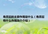 角质层的主要作用是什么（角质层有什么作用简介介绍）