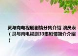 灵与肉电视剧剧情分集介绍 演员表（灵与肉电视剧33集剧情简介介绍）