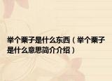 举个栗子是什么东西（举个栗子是什么意思简介介绍）