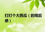 打打个大西瓜（的观后感）