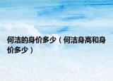 何洁的身价多少（何洁身高和身价多少）