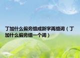 丁加什么偏旁组成新字再组词（丁加什么偏旁组一个词）