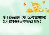 为什么会背调（为什么i背调突然这么火谁知道原因吗啊简介介绍）