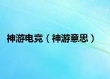 神游电竞（神游意思）