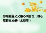 即唯物主义又唯心叫什么（唯心唯物主义是什么意思）