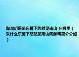 陶渊明采菊东篱下悠然见南山 在哪里（采什么东篱下悠然见南山陶渊明简介介绍）