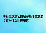库布其沙漠它的名字是什么意思（它为什么叫库布其）