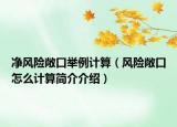 净风险敞口举例计算（风险敞口怎么计算简介介绍）