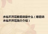 水仙不开花歇后语是什么（歇后语水仙不开花简介介绍）