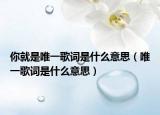 你就是唯一歌词是什么意思（唯一歌词是什么意思）
