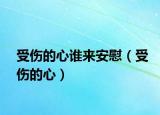 受伤的心谁来安慰（受伤的心）