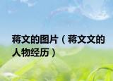 蒋文的图片（蒋文文的人物经历）