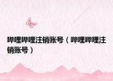 哔哩哔哩注销账号（哔哩哔哩注销账号）