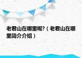 老君山在哪里呢?（老君山在哪里简介介绍）