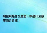 现在飒是什么意思（飒是什么意思简介介绍）