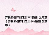 弃我去者昨日之日不可留什么寓意（弃我去者昨日之日不可留什么意思）
