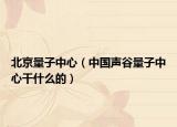 北京量子中心（中国声谷量子中心干什么的）