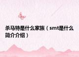 杀马特是什么家族（smt是什么简介介绍）