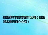 如鱼得水的意思是什么呢（如鱼得水意思简介介绍）
