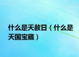 什么是天赦日（什么是天国宝藏）
