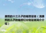 康熙的十三儿子的福晋是谁（清康熙的儿子的福晋们分别是谁简介介绍）