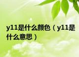 y11是什么颜色（y11是什么意思）