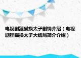 电视剧狸猫换太子剧情介绍（电视剧狸猫换太子大结局简介介绍）