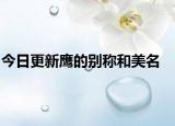 今日更新鹰的别称和美名