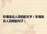 珍惜身边人简短的文字（珍惜身边人简短的句子）