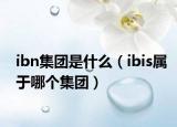 ibn集团是什么（ibis属于哪个集团）
