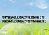 怎样在手机上看辽宁经济频道（如何在手机上收看辽宁都市频道直墦）